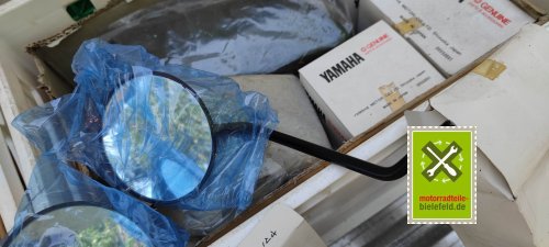 IMG_20230824_132946